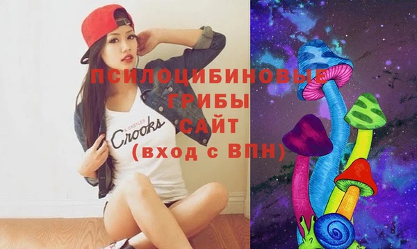 соль ск Зеленодольск