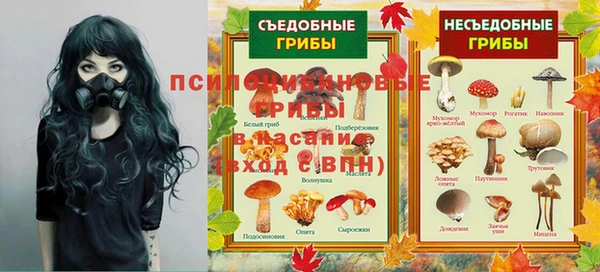 соль ск Зеленодольск
