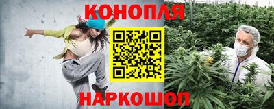 сатива Керчь