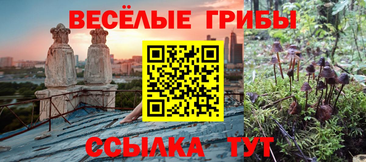 Киреевск  Галлюциногенные грибы MAGIC MUSHROOMS  закладка  Вход с VPN  Псилоцибиновые грибы ЛСД 